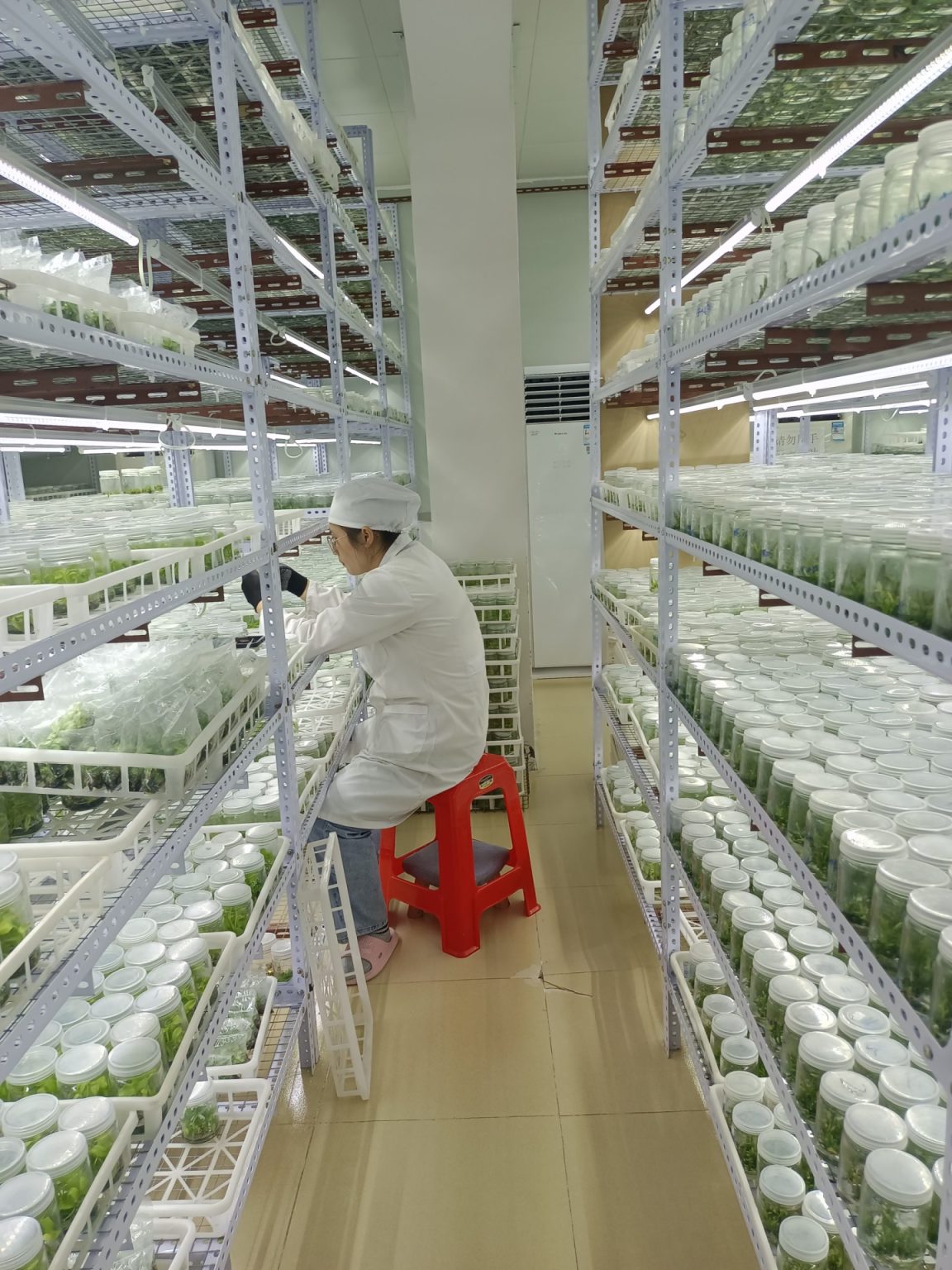 green-circle-farm-is-one-of-the-top-plant-suppliers-in-china