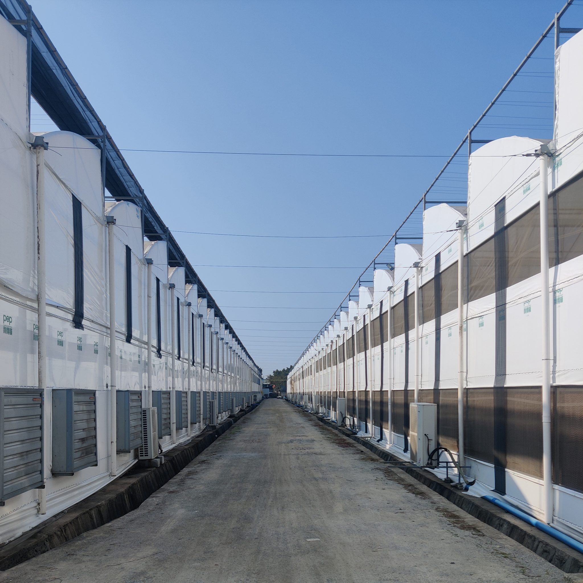 Green Circle Farm Is One Of The Top Plant Suppliers In China 